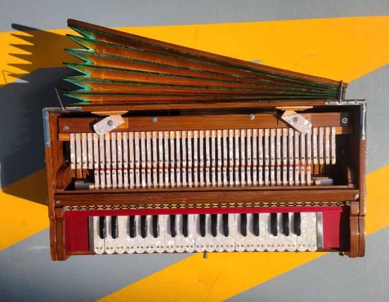 Indian harmonium 3