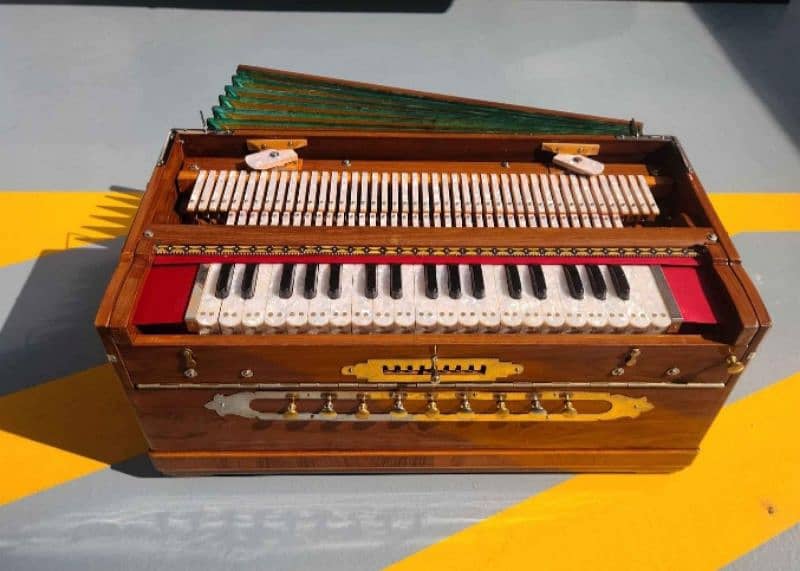 Indian harmonium 5