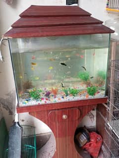 Fish Aquarium in Good Condition