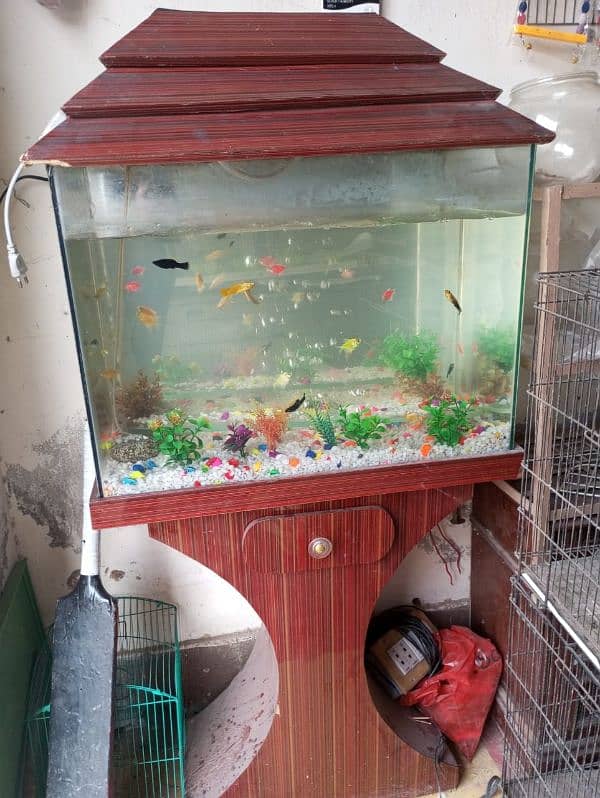 Fish Aquarium in Good Condition 1