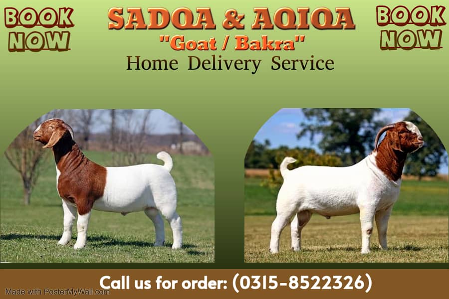 Sadqay or Aqiqah Bakray Available On Your Door Step 0