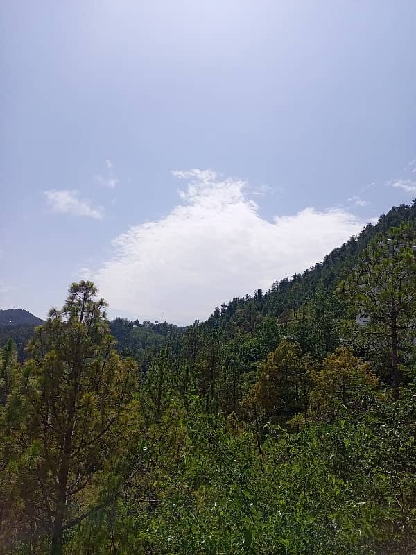 Murree Bhurban Road Kashmiri Bazar Gen Hameed Gull Road House For Sale 6