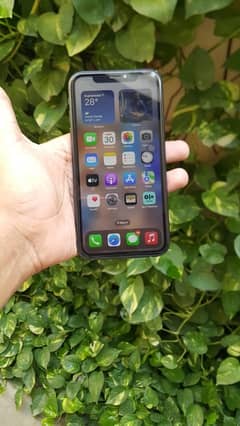 Iphone11