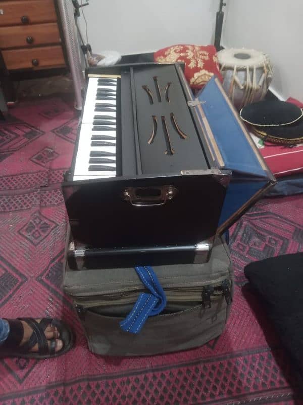 Paris reed male male harmonium 0