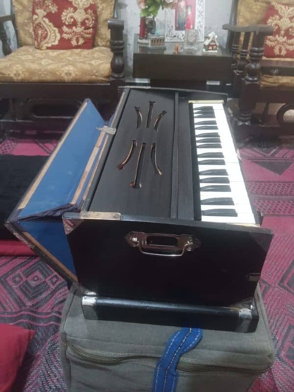 Paris reed male male harmonium 1