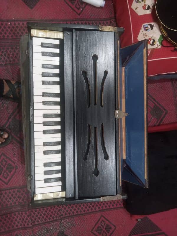 Paris reed male male harmonium 3