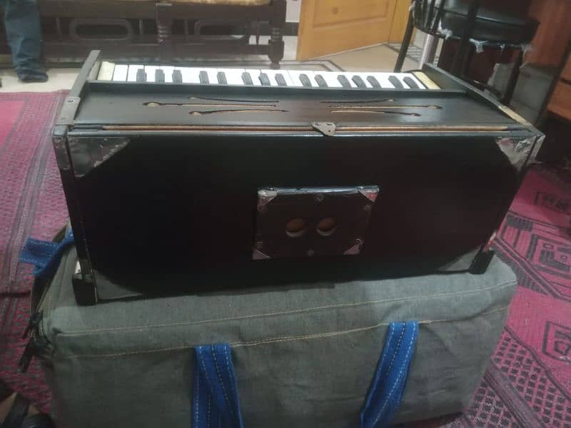 Paris reed male male harmonium 4