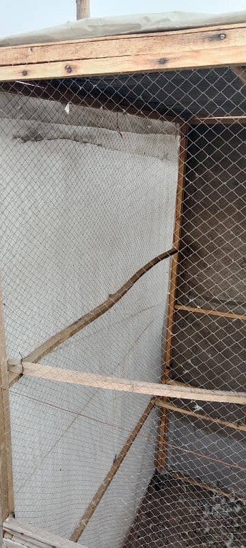 pigeon cage 1