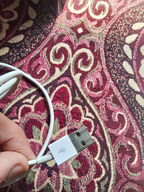 Original Iphone Cable 2