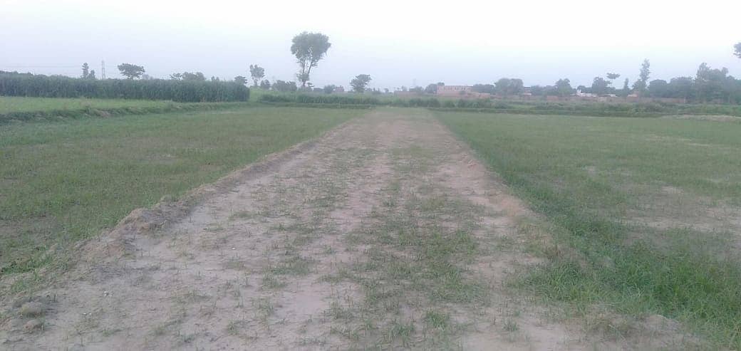 " 1-Acre Land for Sale in Phool Nagar – Ideal Investment Opportunity 2