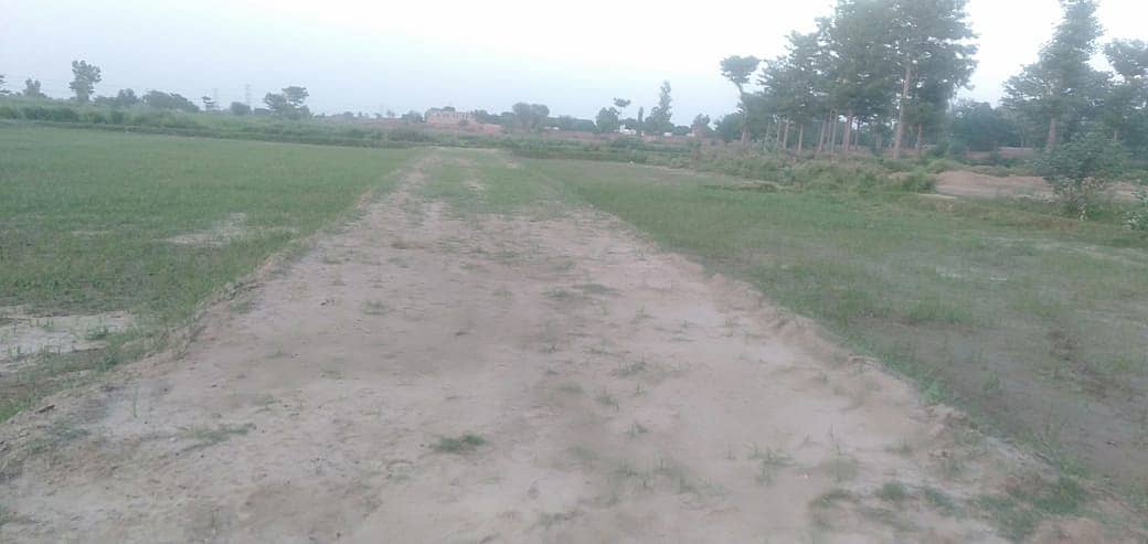 " 1-Acre Land for Sale in Phool Nagar – Ideal Investment Opportunity 3