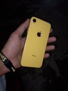 iPhone XR brand new yellow color