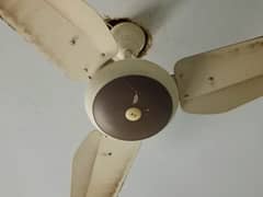 SK fan for sale