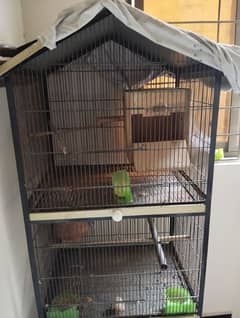 selling parrot cage . . condition 8/10