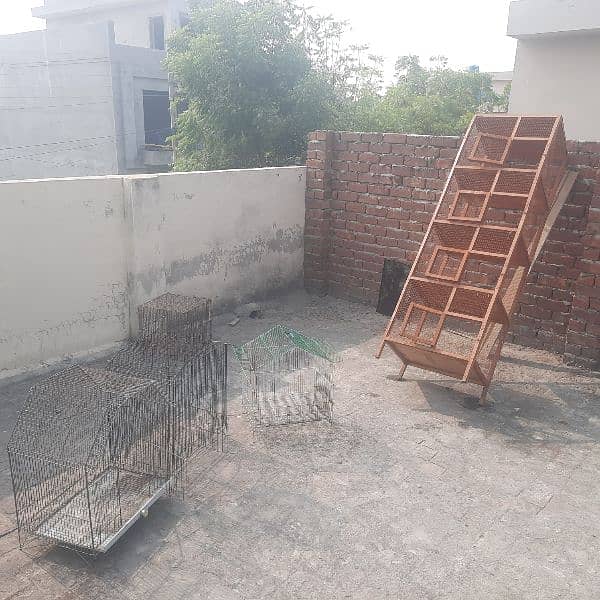 used cages for sale 5