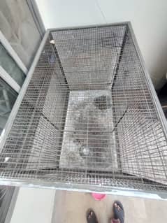 parrot cage for sale