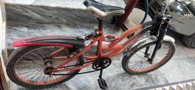 20 inch bycycle for sale