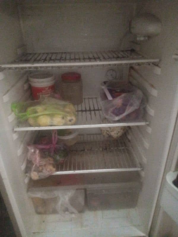 fridge 1