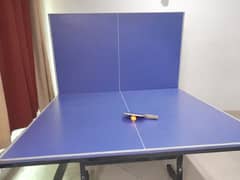 Tabble Tennis Table plus free net