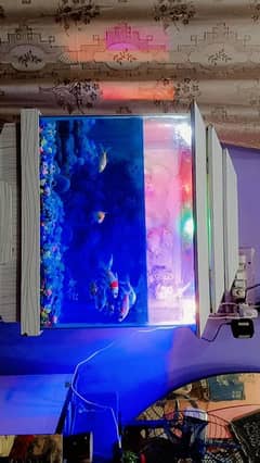 fresh aquarium and stand