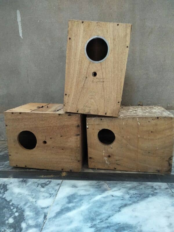 box lovebirds 0