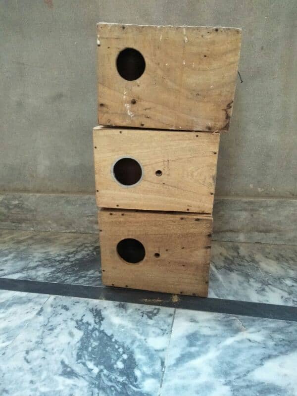 box lovebirds 2