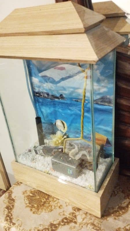 fish pot and also with installed pump and also fish food 1