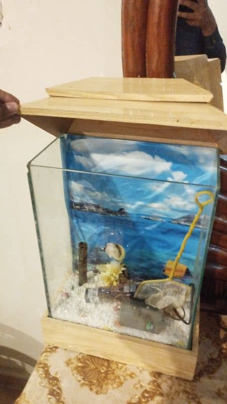 fish pot and also with installed pump and also fish food 2