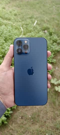 Iphone 12 pro max