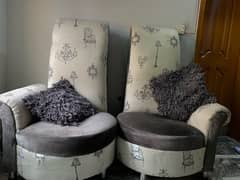 Elegant 2 piece sofa chairs