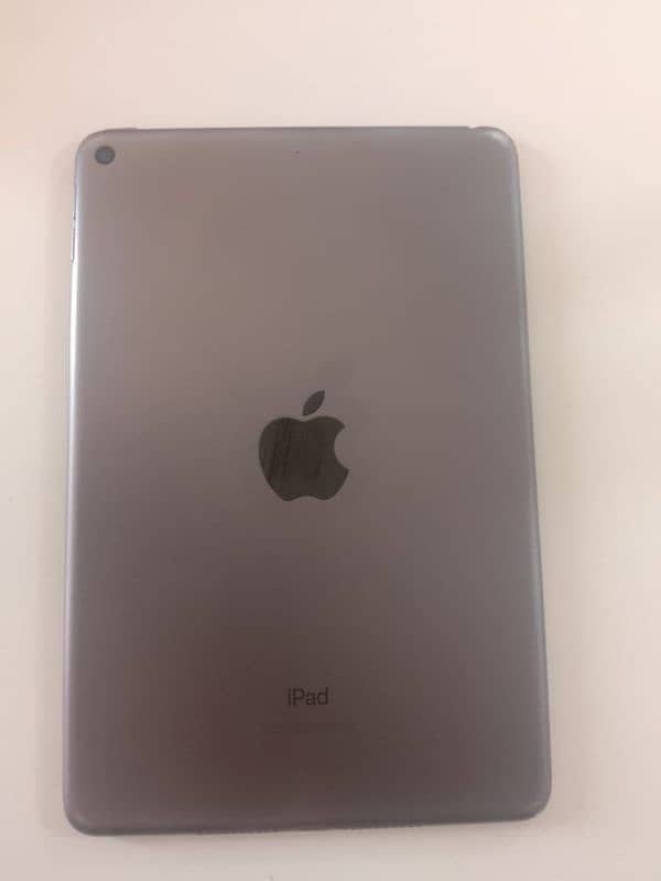 ipad mini 5 0