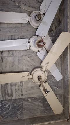 Used Ceiling Fans - Good Condition