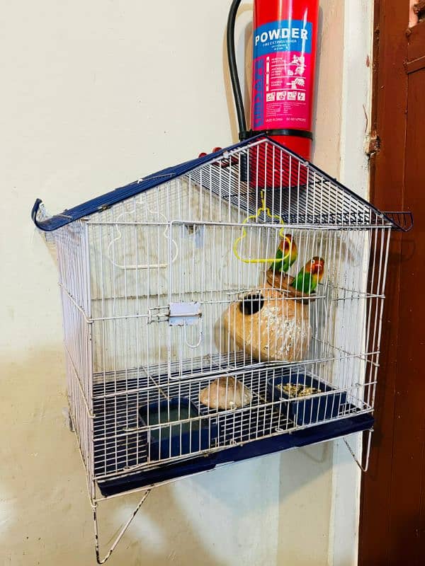 Fisher Pair or Cage k sath pinjra 1