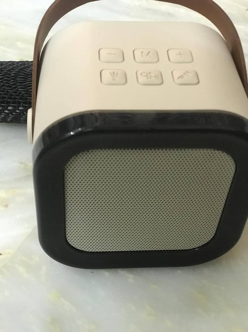 Bluetooth Speakers with wireless Mic 3