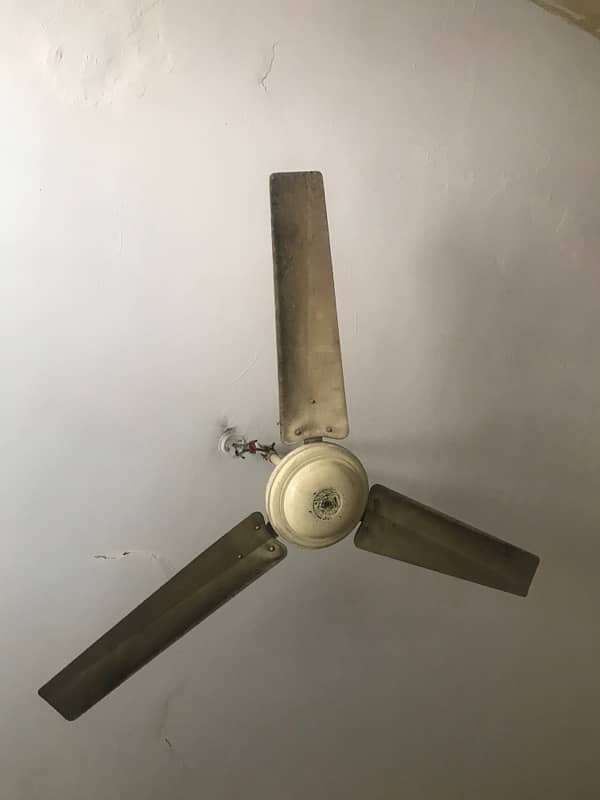 Fan for sale working good 1