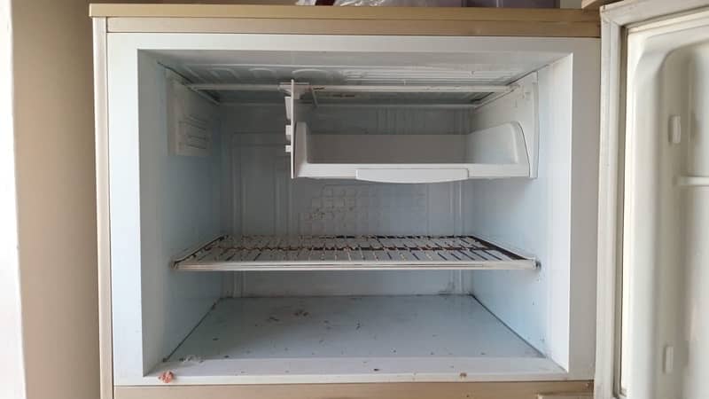 PEL Fridge For Sale 2