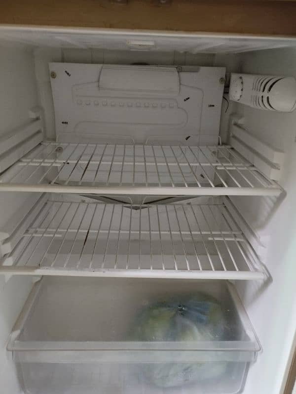 pel fridge 1