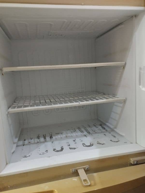 pel fridge 2