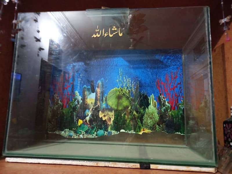 Aquarium Tank 2