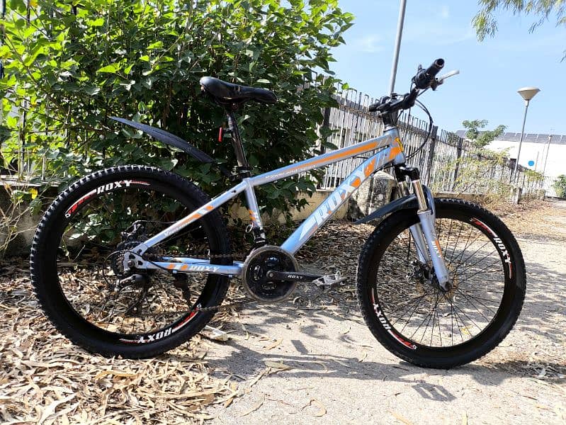 Roxy MTB bicycle for sale 1