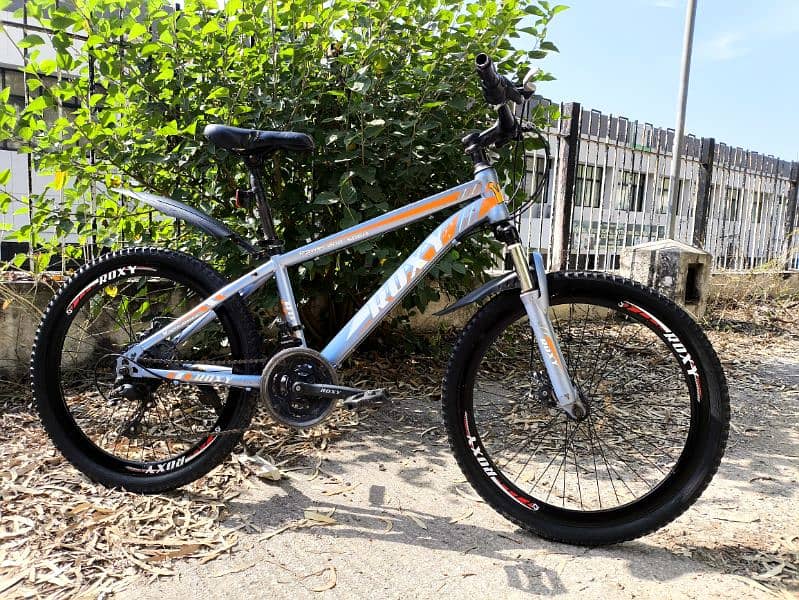 Roxy MTB bicycle for sale 2