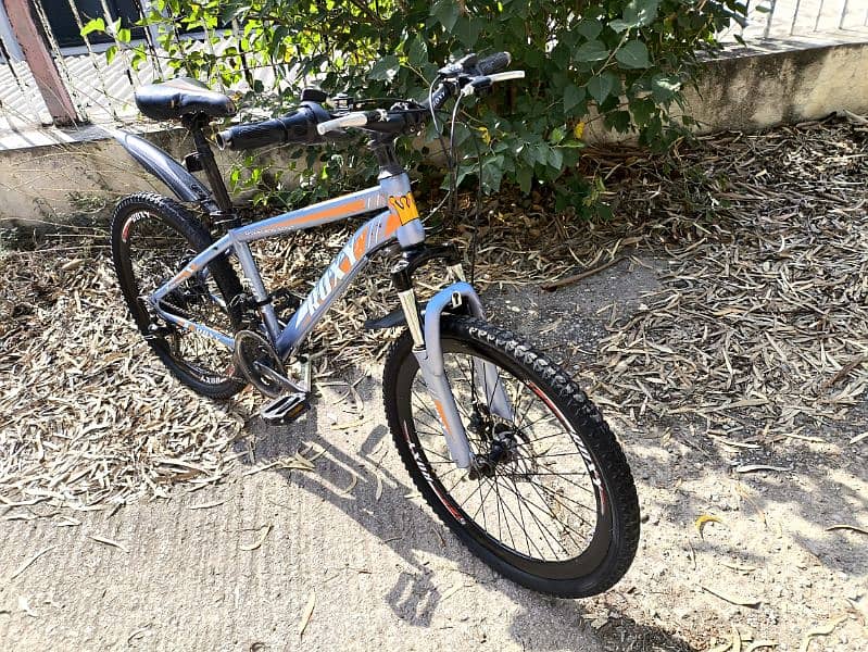 Roxy MTB bicycle for sale 7