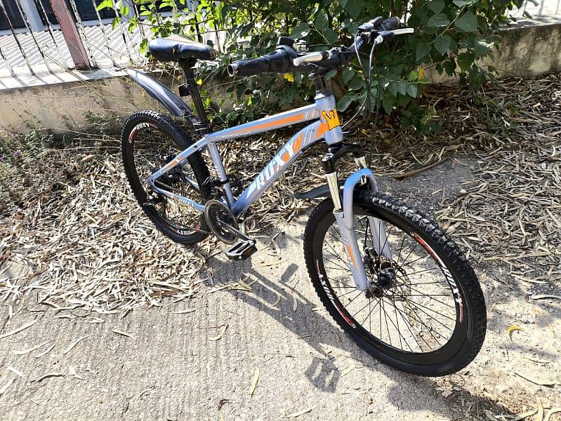 Roxy MTB bicycle for sale 8