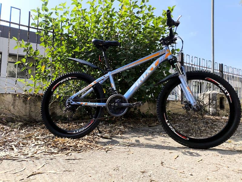 Roxy MTB bicycle for sale 9