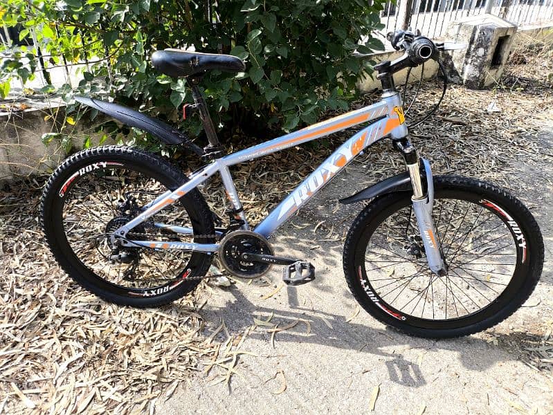 Roxy MTB bicycle for sale 10