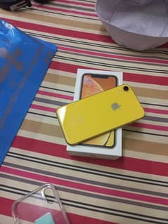 iphone Xr 128gb  10by10 betery health 81 total jenioun