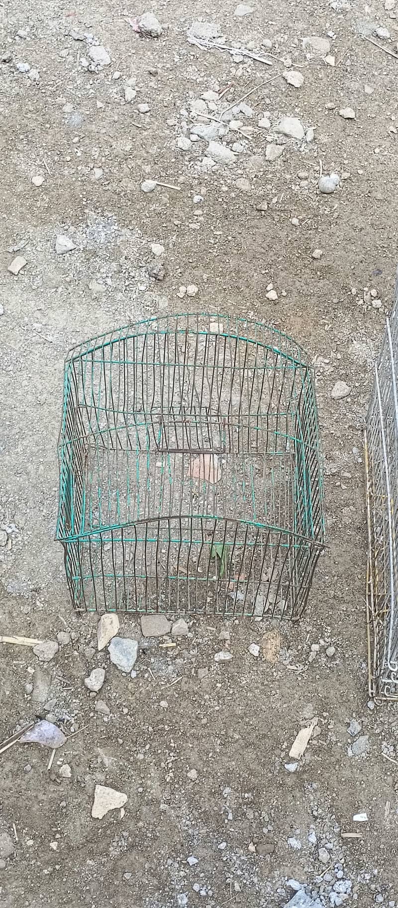 cage for sale in wah cantt 1