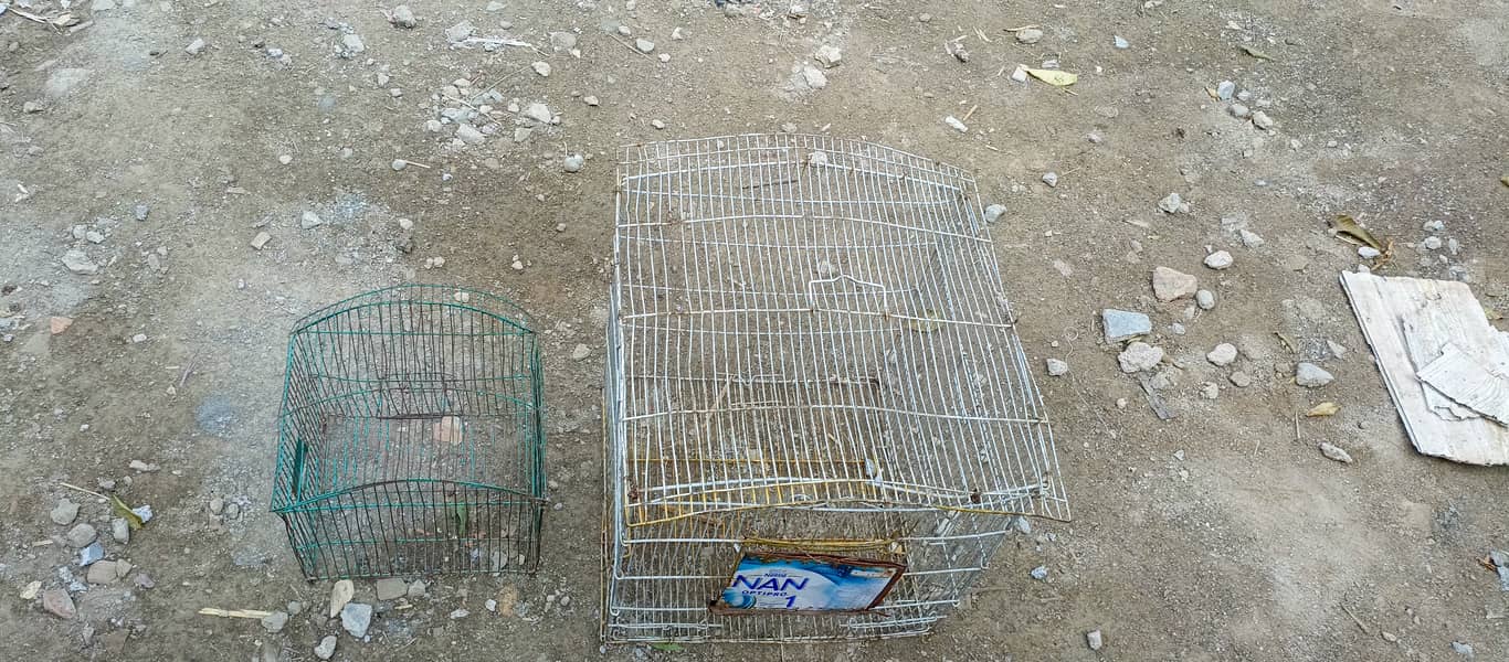 cage for sale in wah cantt 2