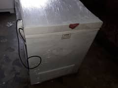 310 wawes news model freezer