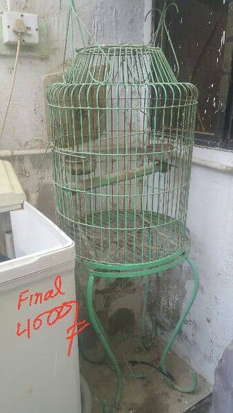 All the cages are in very good condition giving them at  low price . 2